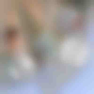 Trak za popravilo mreže proti komarjem | INSECTAPE