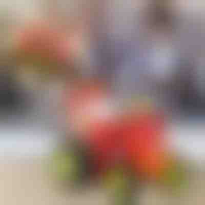 Izvajajte akrobacije s skakajočim traktorjem | JUMPICAR