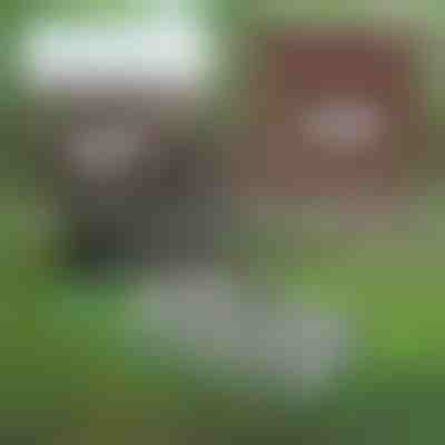 Večnamensko vrtno orodje za vzdrževanje tal | PRONGSPRO