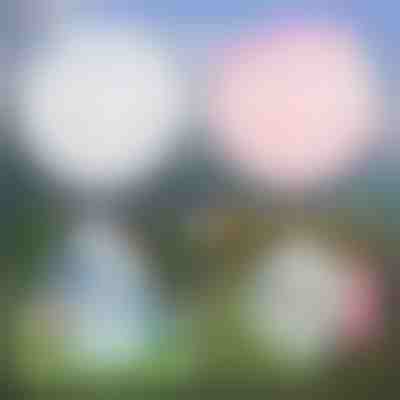 Večnamenski napihljiv mehurček | SLIMEBUB