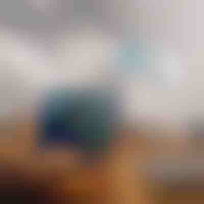 Dvopasovni ojačevalnik WiFi | WIFINA